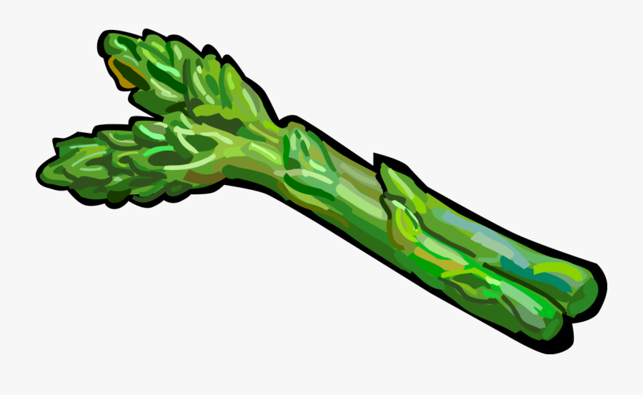 Vector Illustration Of Vegetable Asparagus Spears - Asparagus Clipart Transparent, Transparent Clipart