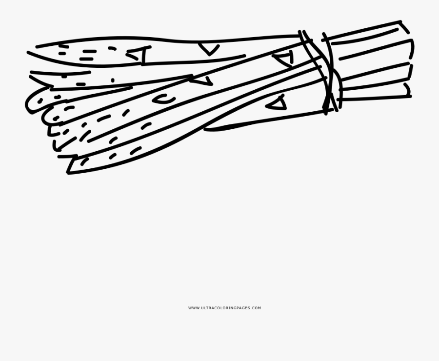 Hand Drawn Asparagus Coloring Page - Line Art , Free Transparent ...