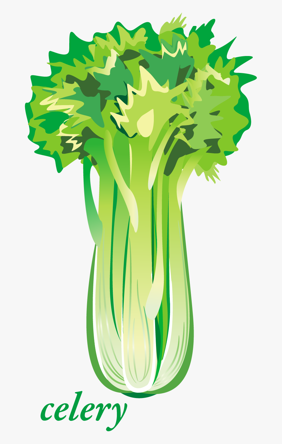 Celery Printable, Transparent Clipart