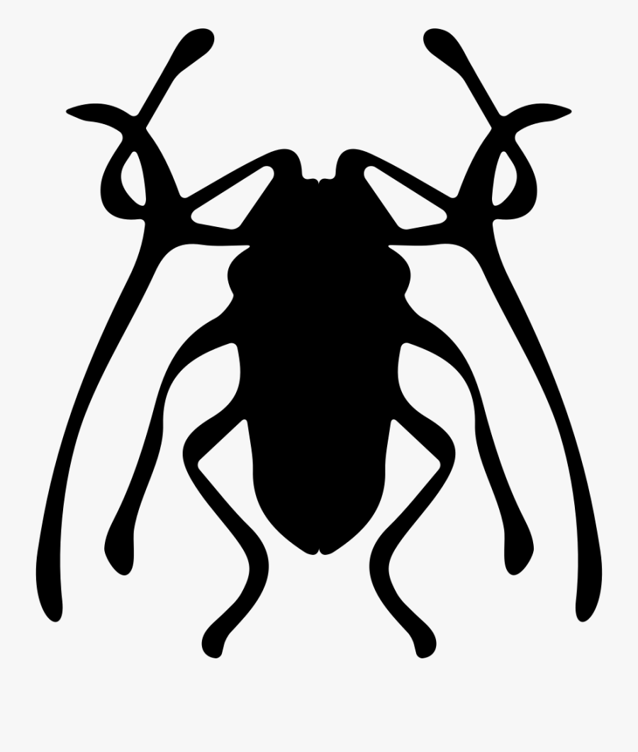 Beetle Insect Trictenotomidae - Weevil, Transparent Clipart