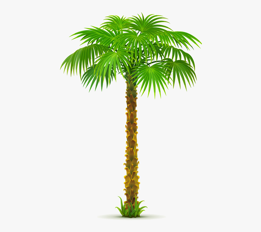 8963e73a Palm Tree Png, Paper Palm Tree, - Palm Tree Planter Box, Transparent Clipart