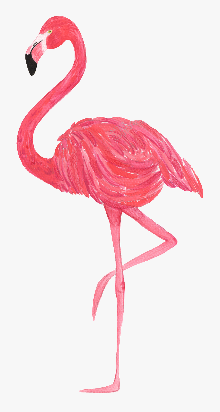 Watercolor Transparent Flamingo Png, Transparent Clipart