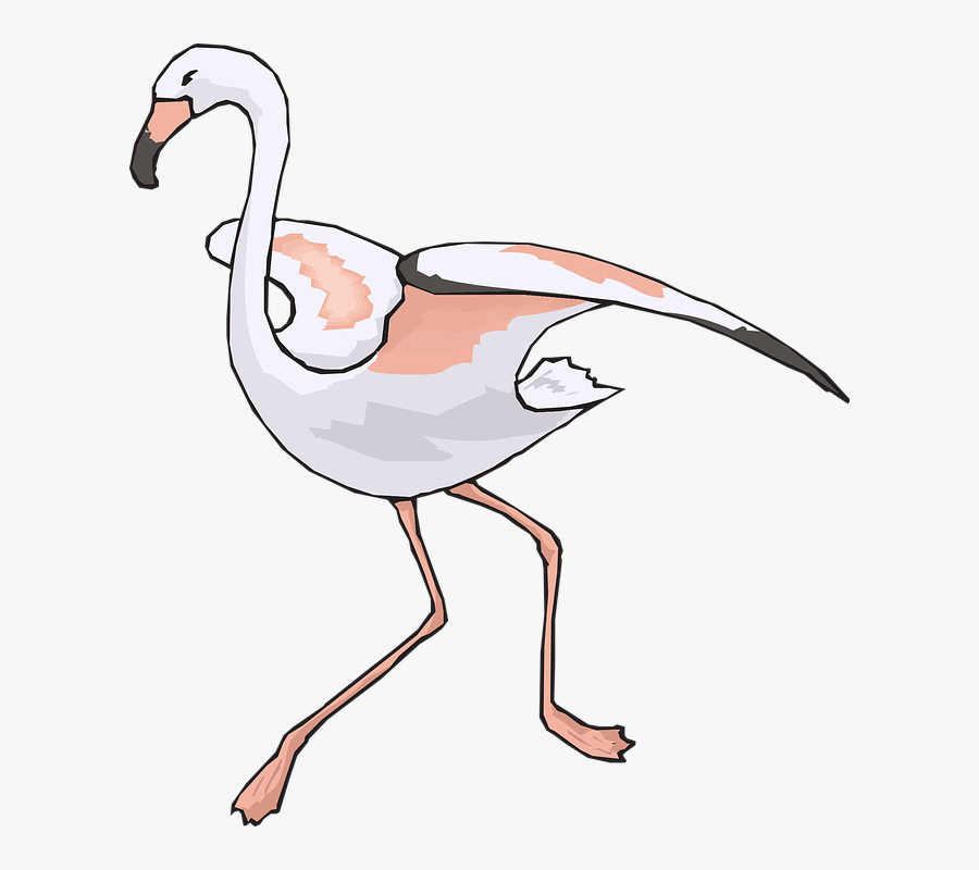Bird, Running, Wings, Flamingo, Long, Neck, Legs - นก กระเรียน Png, Transparent Clipart