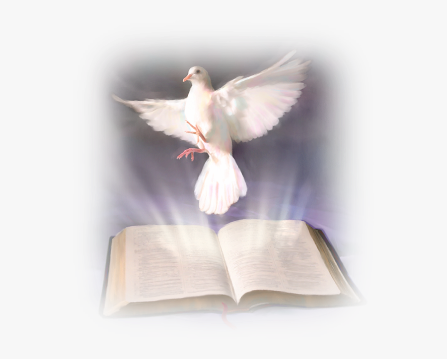 Confirmacion Paloma Png - Word Of God And The Holy Spirit, Transparent Clipart