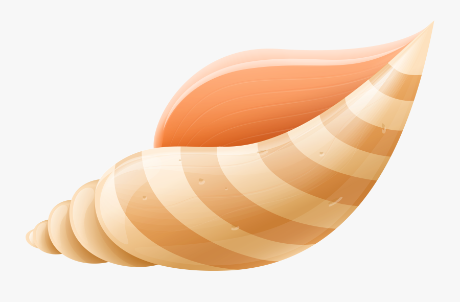 Sea Shell Png Clip Art Image - Sea Shell Clip Art Png, Transparent Clipart