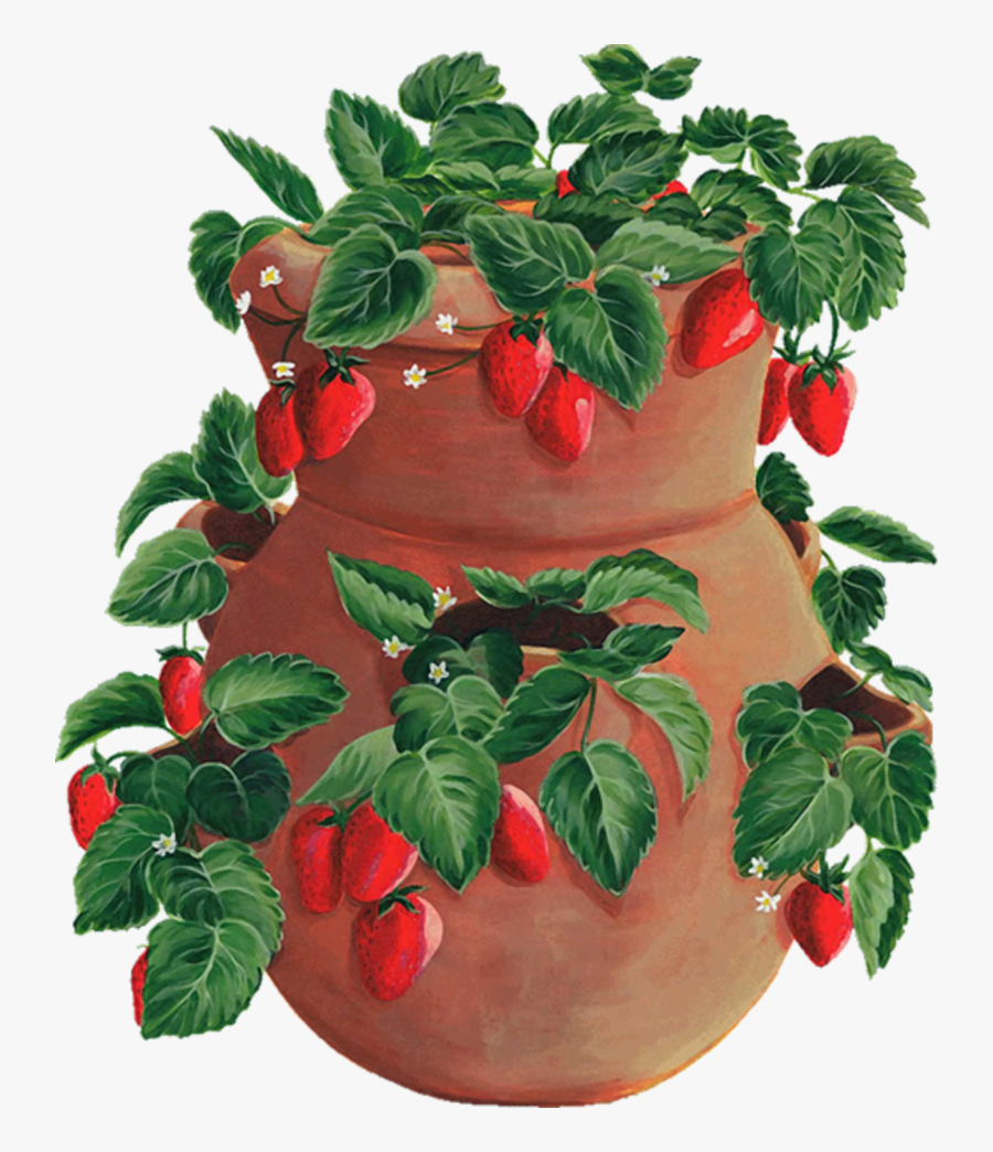 Transparent Strawberries Clipart - Strawberry Pot, Transparent Clipart