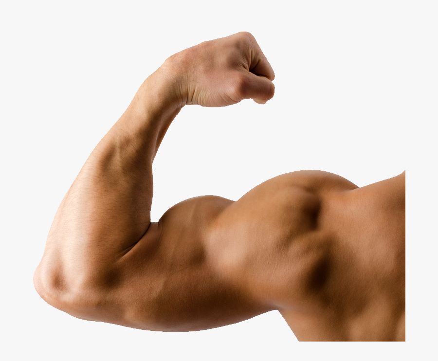 Strong Muscle Arm Png Photo - Muscle Arms Transparent Background, Transparent Clipart