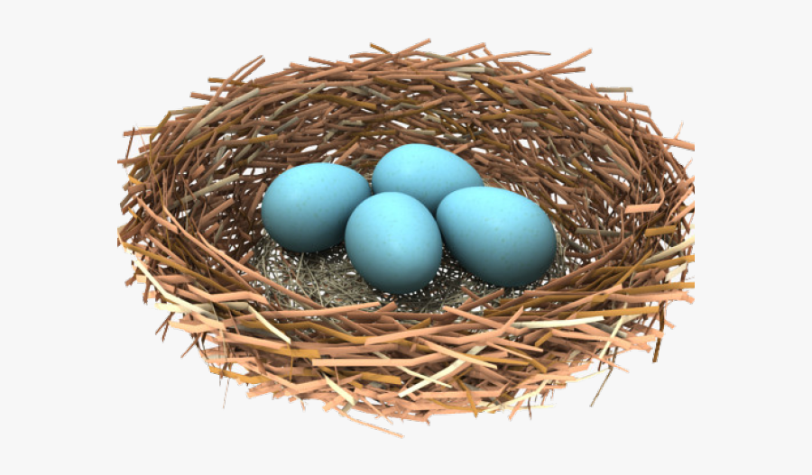 Bird Nest Transparent, Transparent Clipart