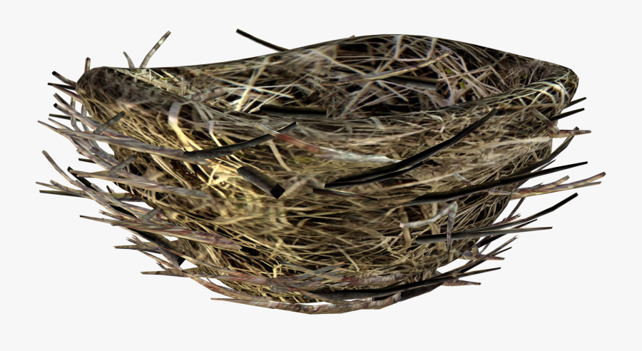 Bird-nest - Гнездо Пнг, Transparent Clipart