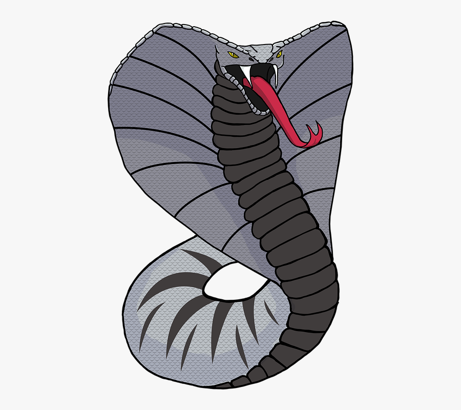 Snake, Cobra, Reptile, Animal, Wildlife, Dangerous - Cara Menggambar Ular Cobra, Transparent Clipart