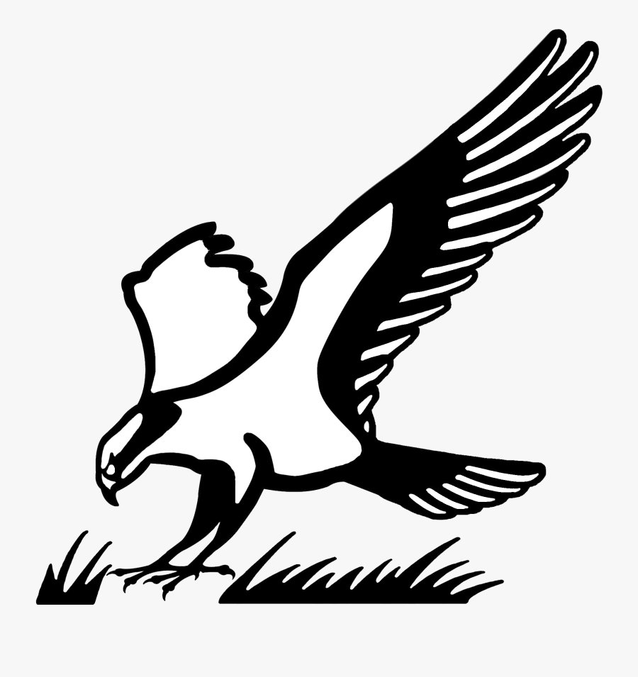 Osprey Bird Logo, Transparent Clipart