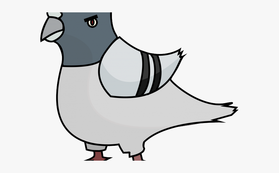 Pigeon Clipart Pigon - Cartoon Pigeon Png, Transparent Clipart