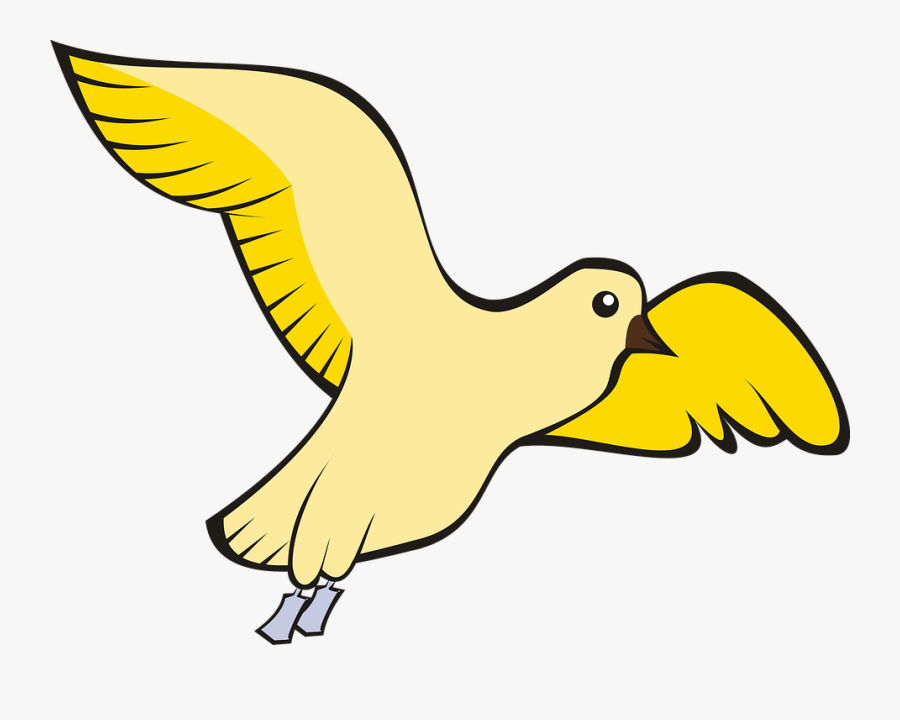 Bird, Pigeon, Flight, Sky, Yellow, Adobe - Yellow Pigeon Png, Transparent Clipart