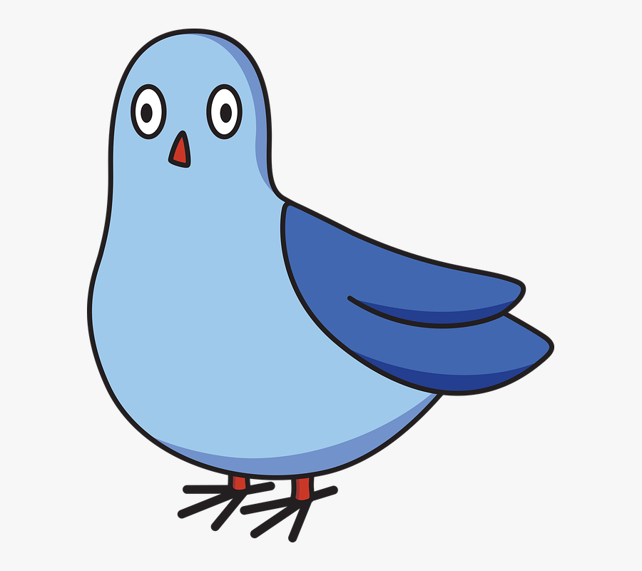 Pigeon, Cartoon, Bird, Dove, Silly, Animal - Wajah Kartun Burung Pipit, Transparent Clipart