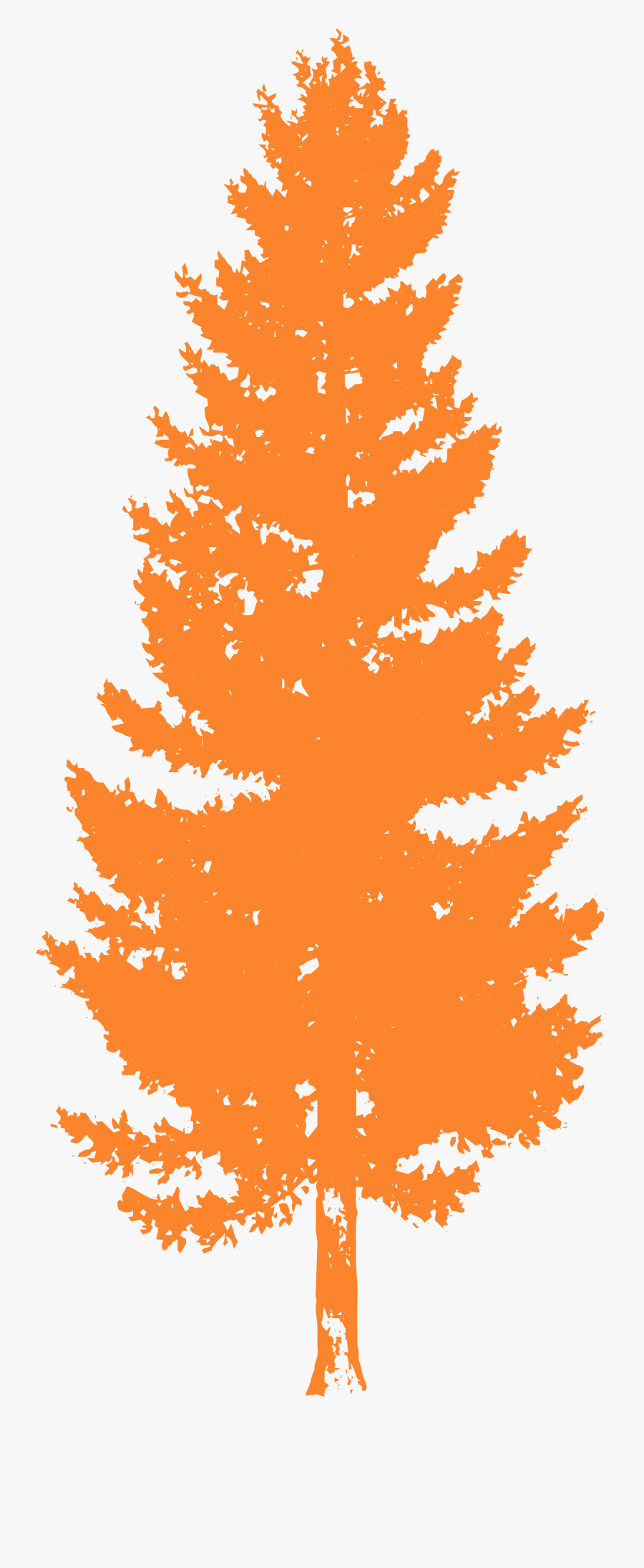 Pine Trees For Photoshop, Transparent Clipart