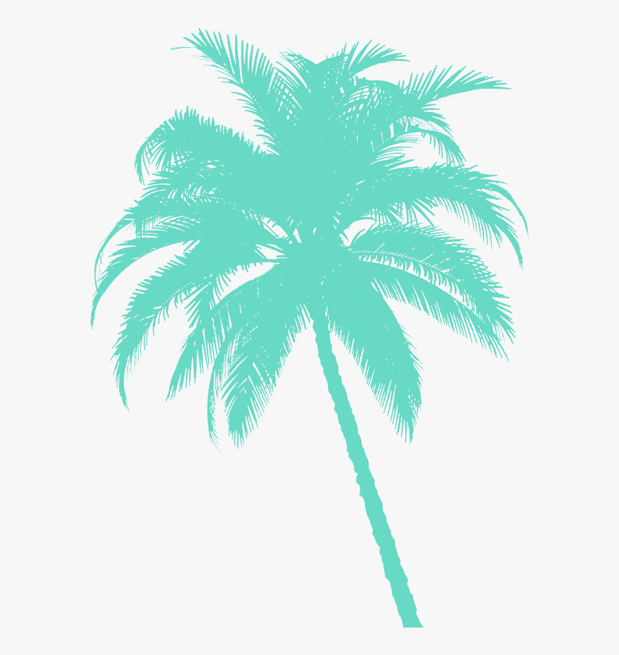 Palm Tree White Background, Transparent Clipart
