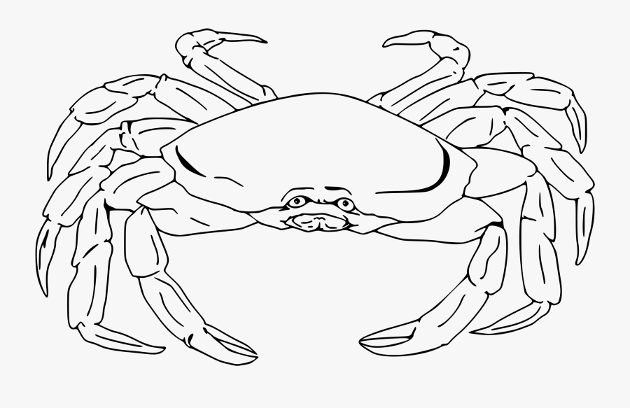 Collection Of Realistic - Clipart Line Crab Drawings, Transparent Clipart