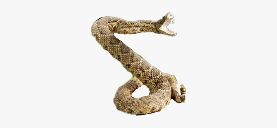 #snake #rattlesnake - Serpent, Transparent Clipart