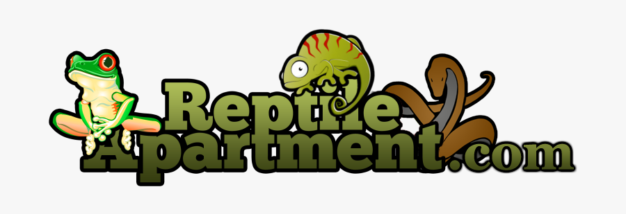 Back Home - Logo Of Store Reptile, Transparent Clipart