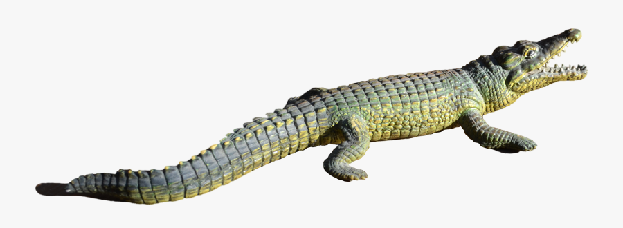 alligator png file nile crocodile png free transparent clipart clipartkey alligator png file nile crocodile png