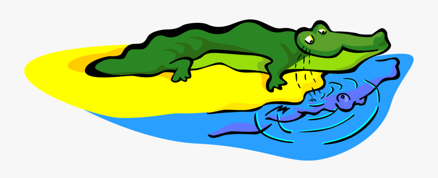 Vector Illustration Of Alligator Reptile Narcissist, Transparent Clipart