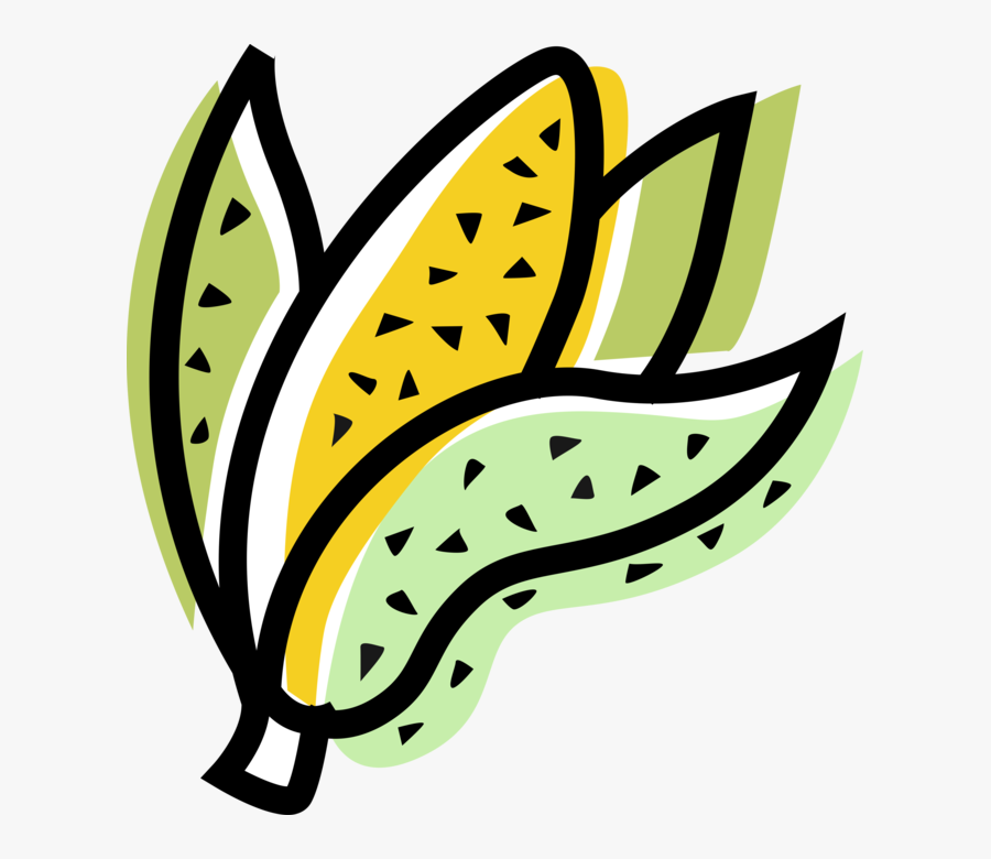 Vector Illustration Of Husk Or Cob Of Corn Maize, Transparent Clipart