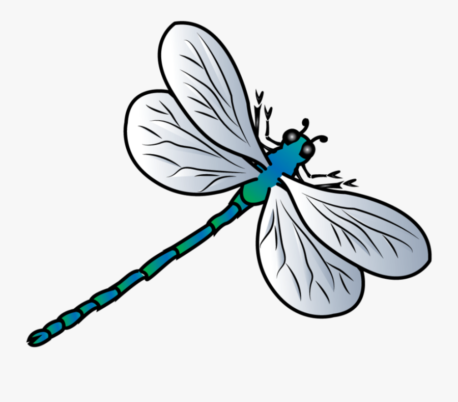 Dragonfly Background Png - Dragonfly Clipart, Transparent Clipart