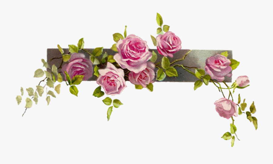 #rose #vine #vintage - Border Line Flower Clipart, Transparent Clipart