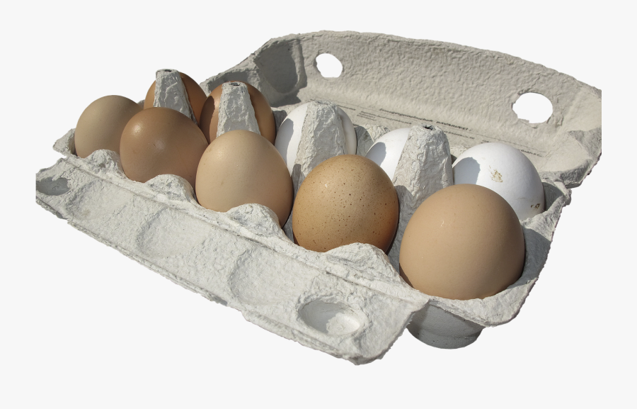 Transparent Egg Carton Clipart - Egg Carton Transparent, Transparent Clipart