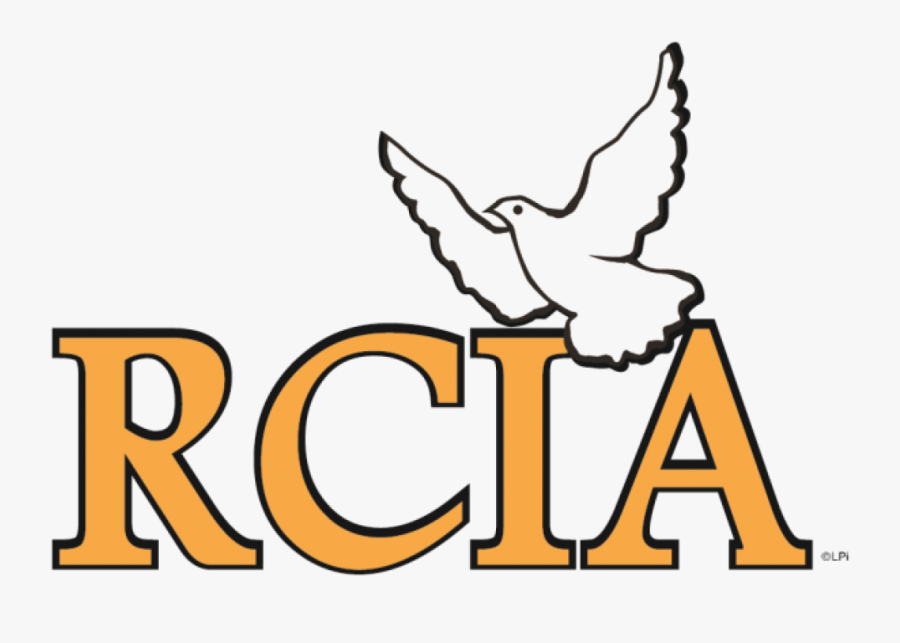 Rcia - Rcia Png, Transparent Clipart