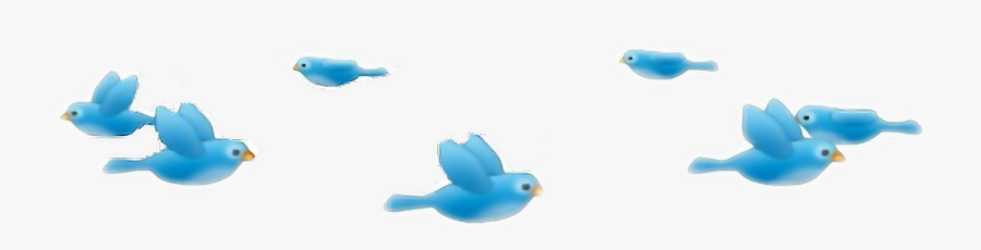 #birds #bluebirds #filter #aesthetic #tumblr - Birds On Head Overlay, Transparent Clipart