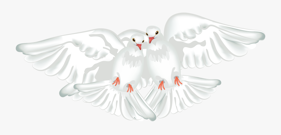 White Doves Transparent Png Clipart - Wedding Dove Transparent Background, Transparent Clipart