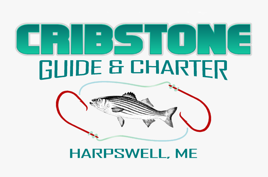 Guide Fishing, Boat Charters And Kids Trips In Harpswell, - Pull Fish Out Of Water, Transparent Clipart