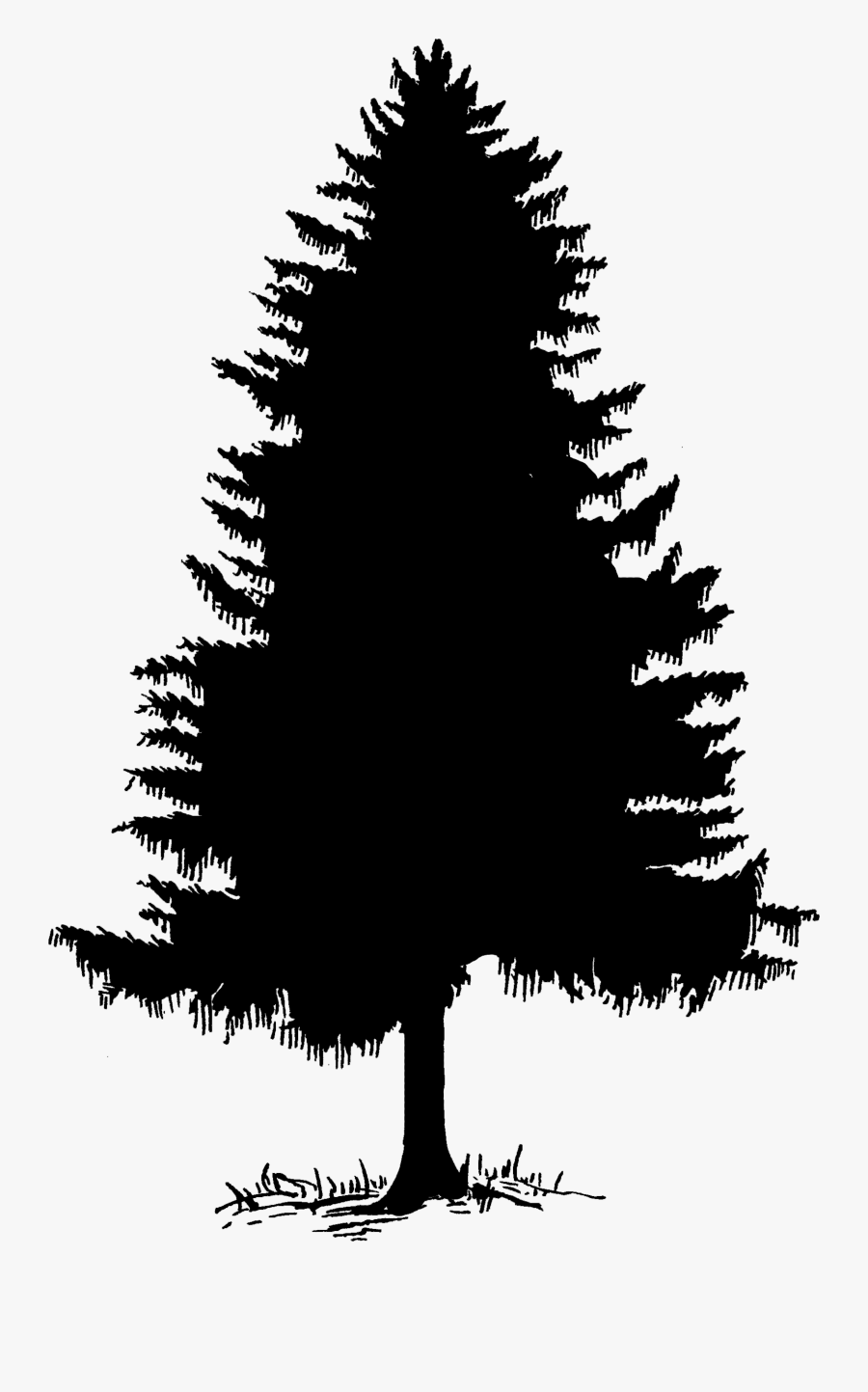 Pine Tree Clipart Silhouette – Adr Alpujarra