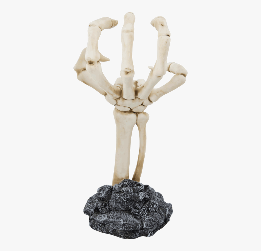 Human Skeleton Human Body Human Anatomy Pomade - Suavecito Skeleton Hand Display, Transparent Clipart