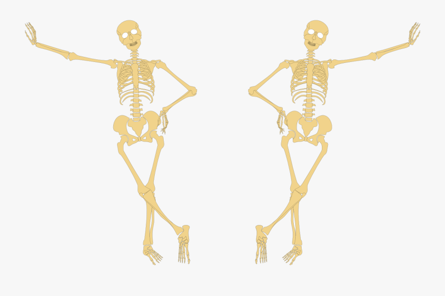 Skeleton Hand On Hip - Skeleton With Hands On Hips, Transparent Clipart