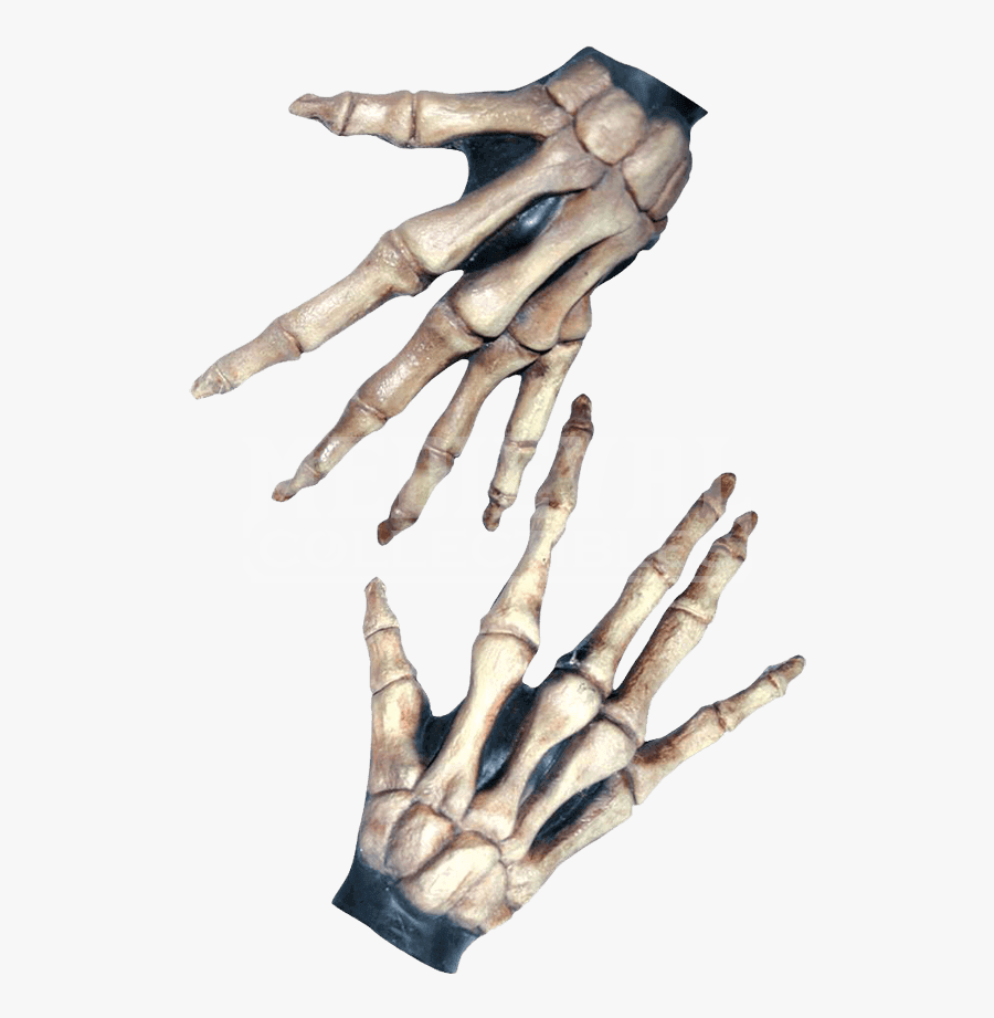 Hand - Skeletthandskar Vuxen, Transparent Clipart