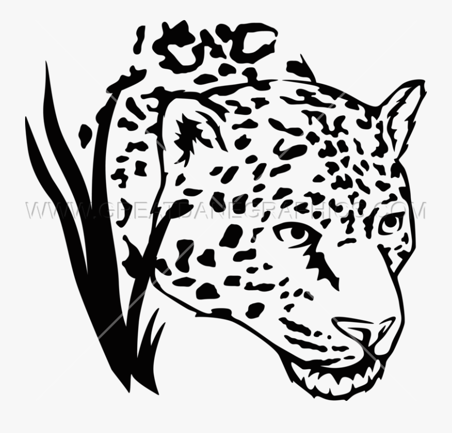 Jaguar Head Drawing At Getdrawings - Jaguar Black And White, Transparent Clipart