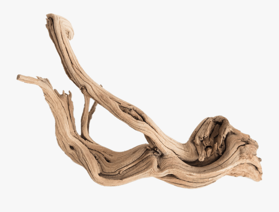 Piece Of Driftwood - Driftwood Png, Transparent Clipart