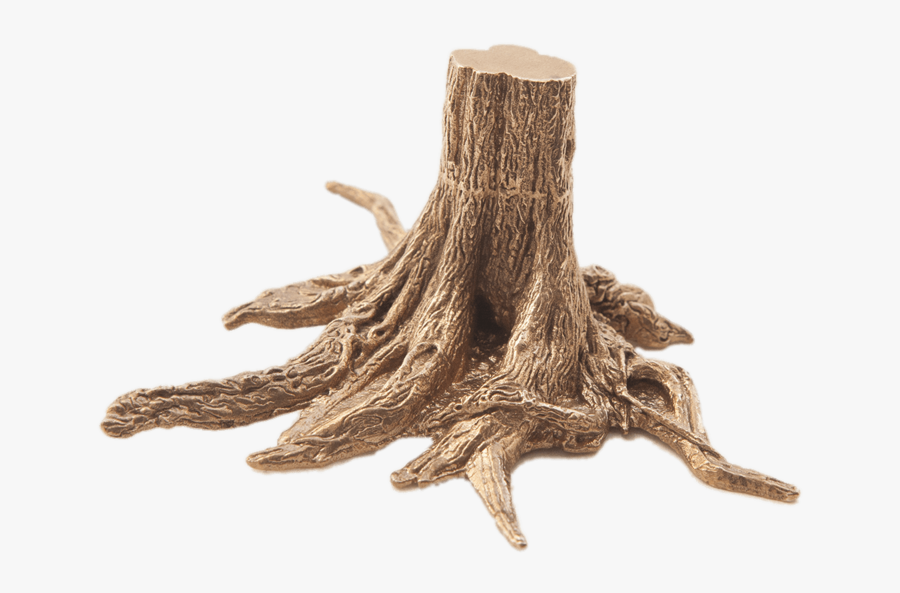 Tree Trunk With Roots, Transparent Clipart