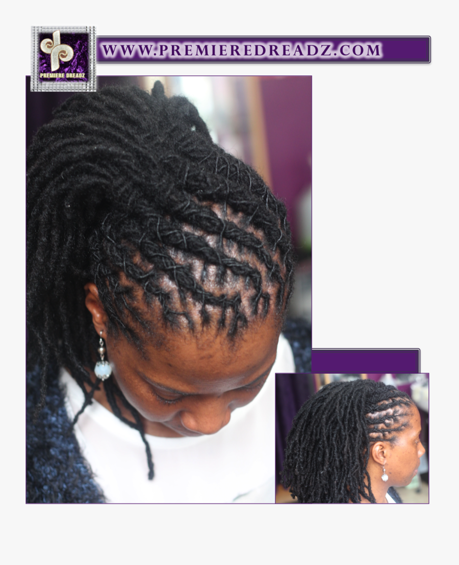 Clip Art Dreadlock Hairstyles Pictures - Dreadlocks Styles Free Download, Transparent Clipart