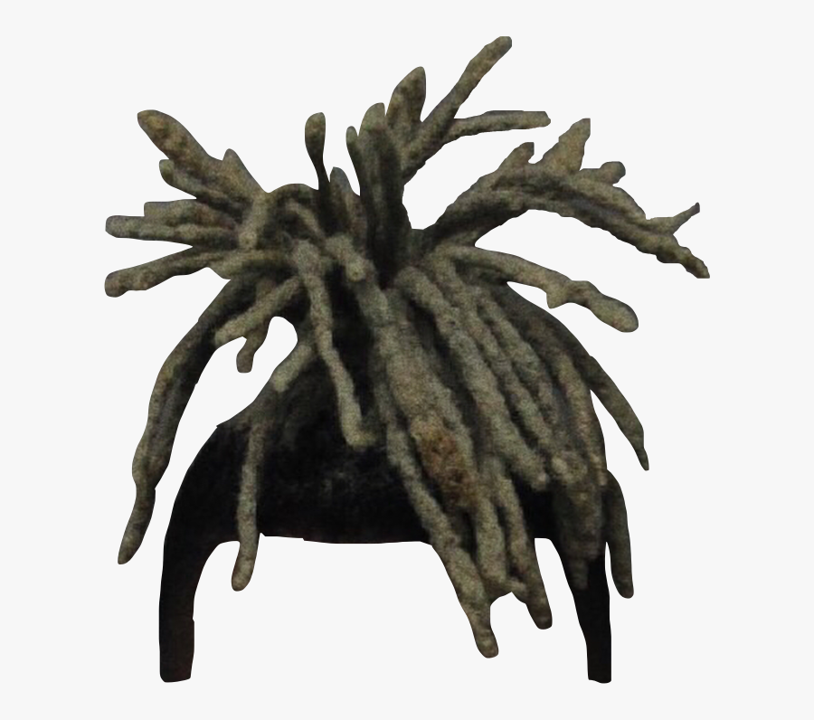 xxxtentacion hair png free transparent clipart clipartkey xxxtentacion hair png free