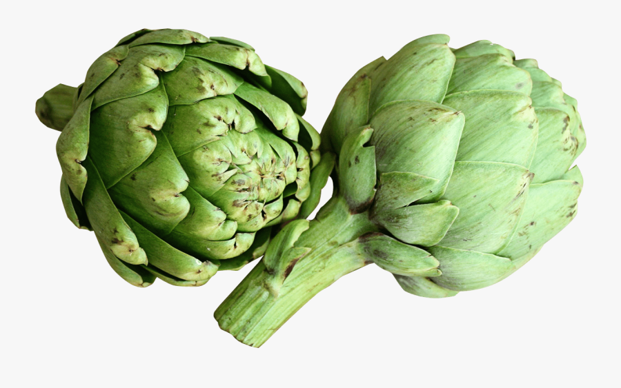 Artichoke - Artichoke Png, Transparent Clipart