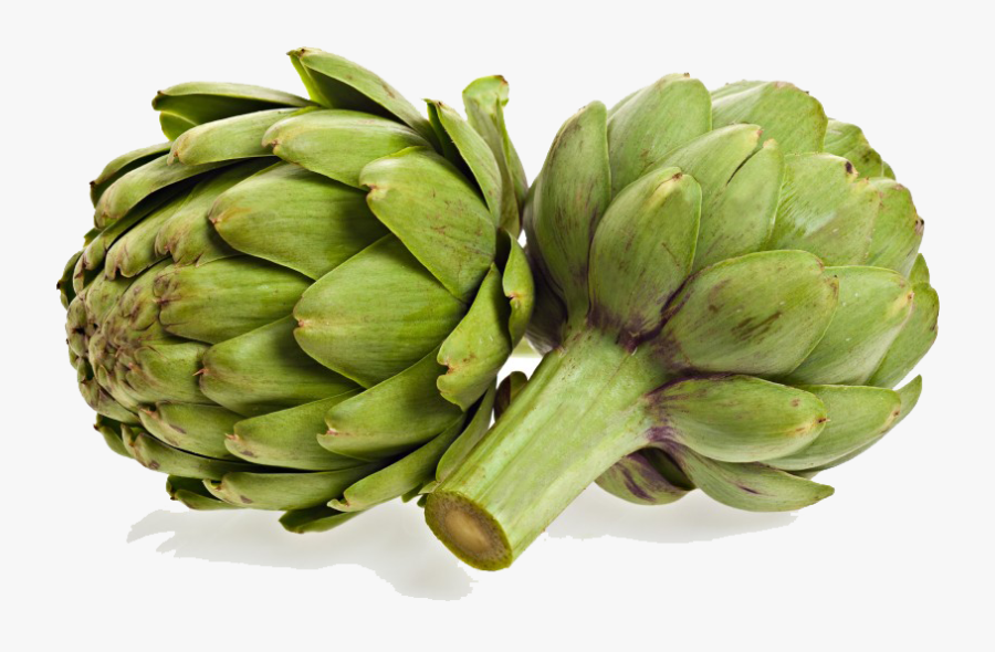 Download Artichokes Png Photo - Find Artichokes In The Philippines, Transparent Clipart