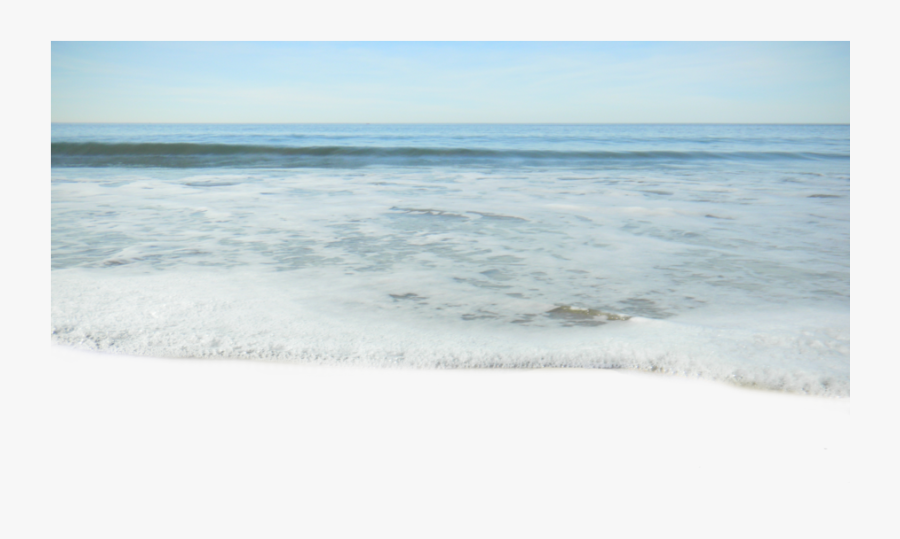 Beach Shore - Sea, Transparent Clipart