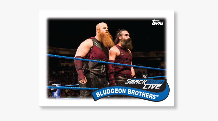 Boxing-ring - Erick Rowan Bludgeon Brothers, Transparent Clipart