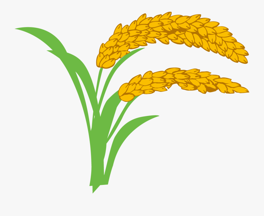 Rice Clipart Rice Field - 禾 稻, Transparent Clipart