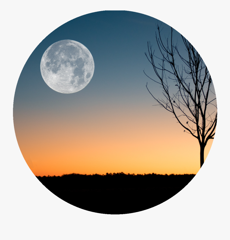 Harvest Moon Png -because I"m Still In Love With You, - February Full Moon 2019, Transparent Clipart