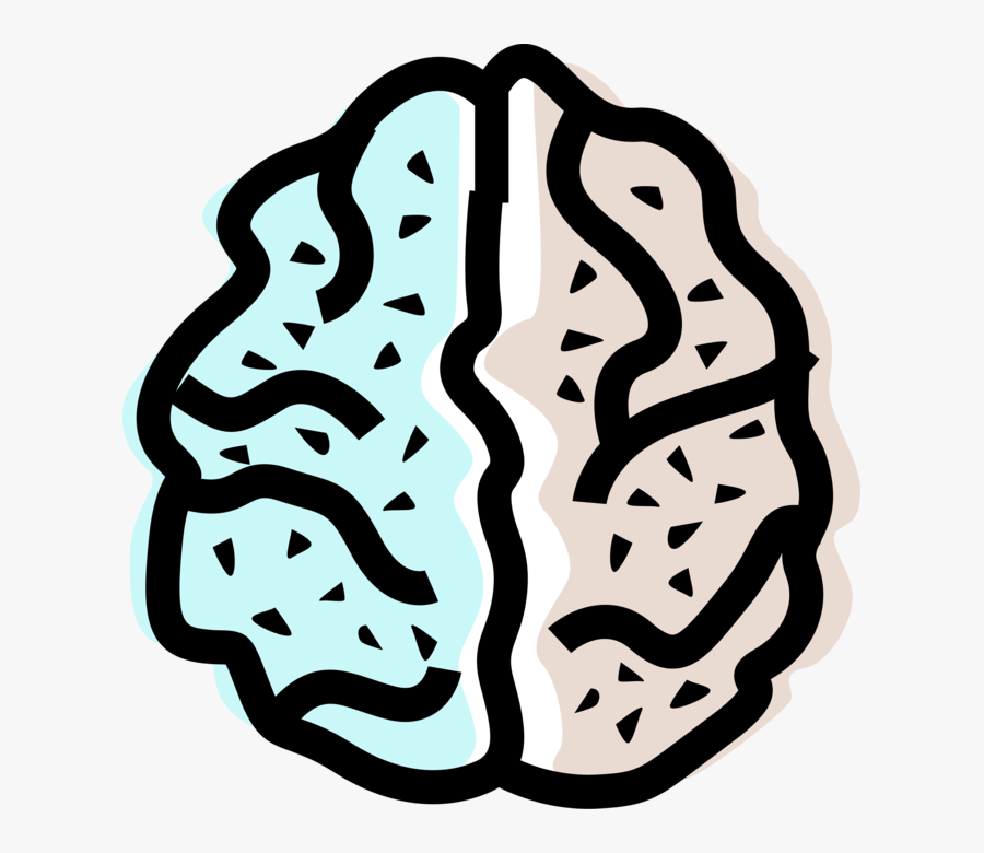 Vector Illustration Of Human Brain Left And Right Hemisphere, Transparent Clipart