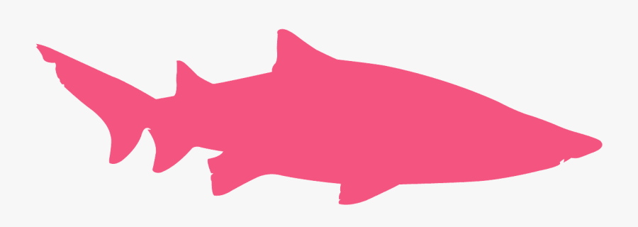 Sand Tiger Shark Png, Transparent Clipart